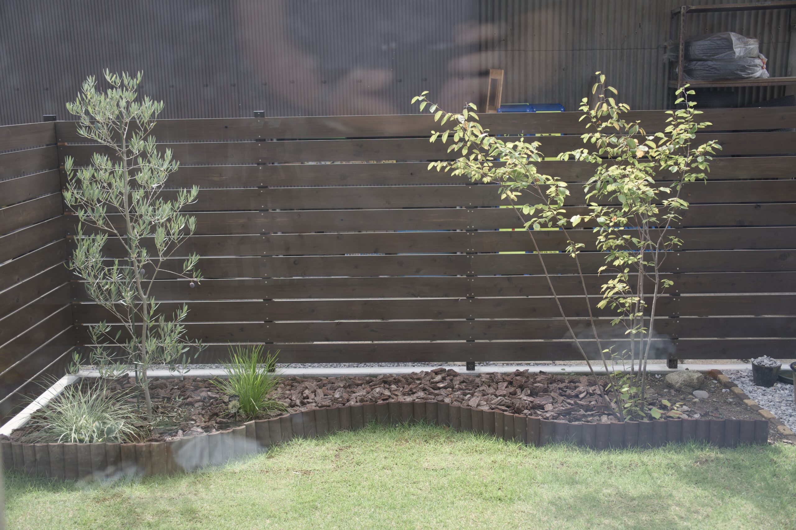窓越しに見える庭の植栽と芝